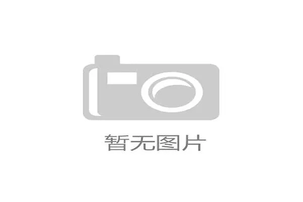 里尔或已确定新帅人选 小安切洛蒂接近接掌球队帅位 里尔或已确定新帅人选 小安切洛蒂接近接掌球队帅位